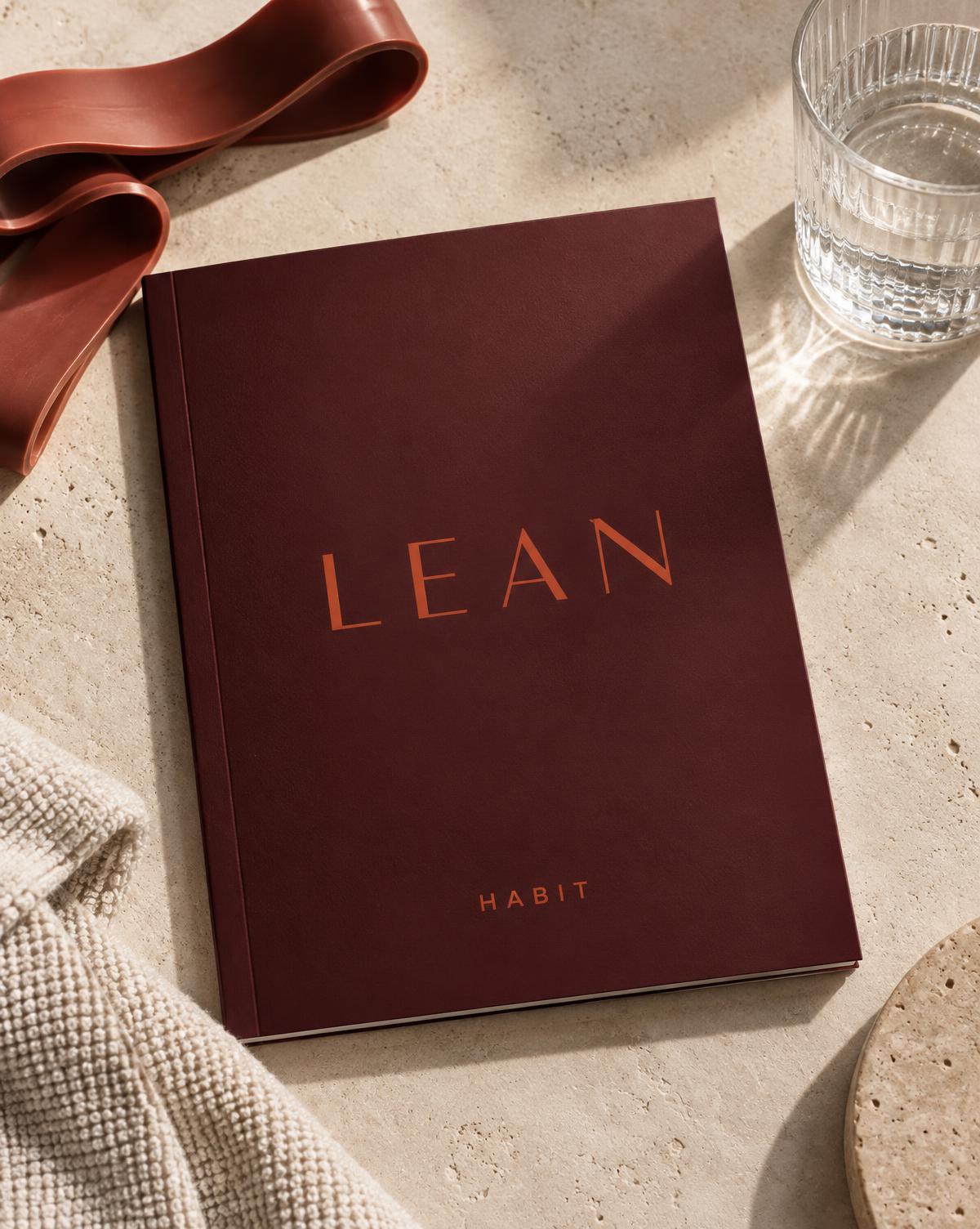 LEAN digital programme mockup